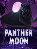 เว็บ เกม ยิง ปลา ได้ เงิน: วิธีเล่นเพื่อกำไรสูง