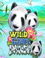 สมัคร gclub 1688 สนุกกับการเล่นเกมสล็อตแบบง่ายๆ