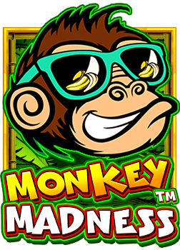 เพลิดเพลินกับการทดลอง เล่น z8 ที่น่าสนใจและสนุกสนาน